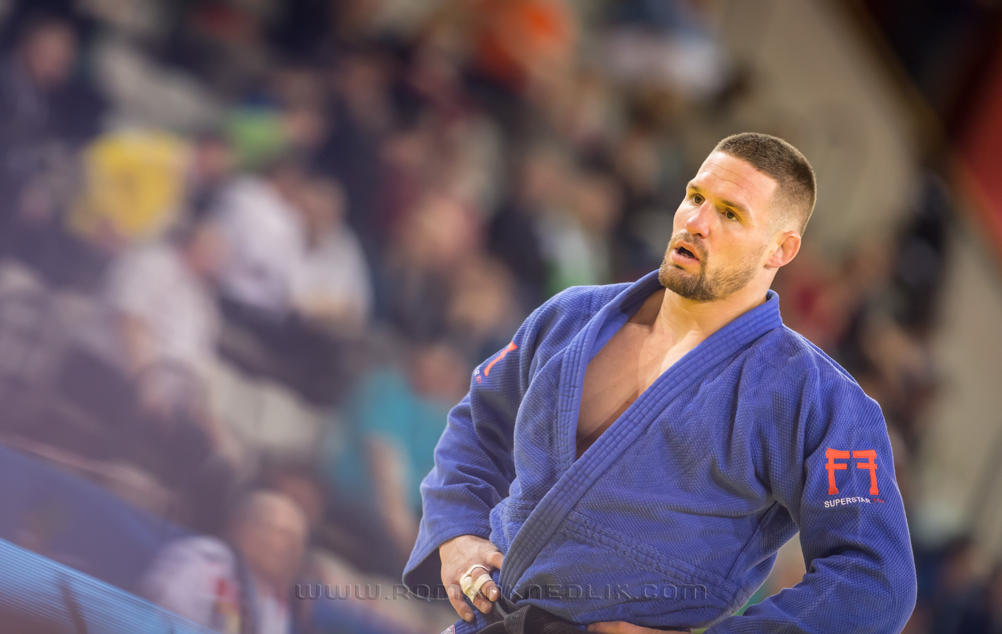 European_Judo_open_2016-1