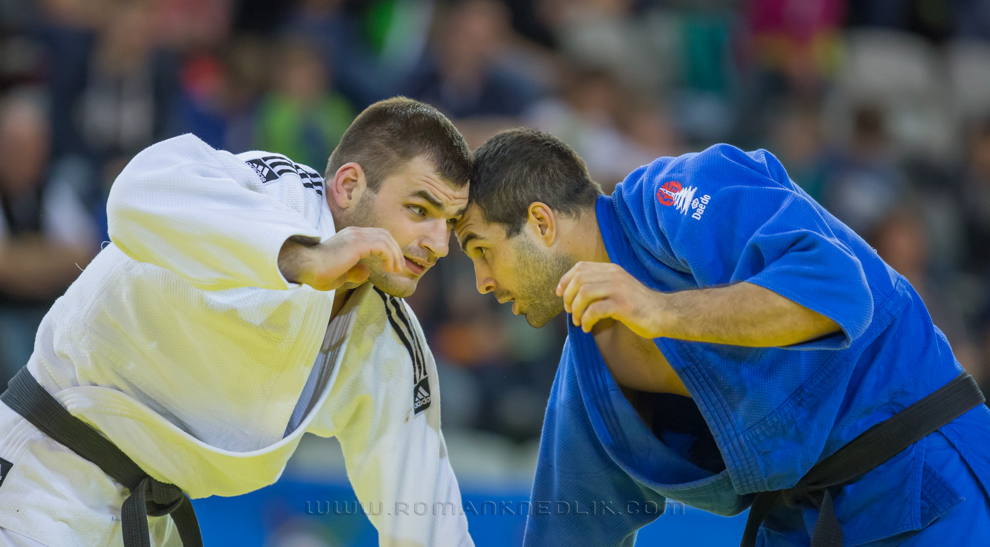 European_Judo_open_2016-23