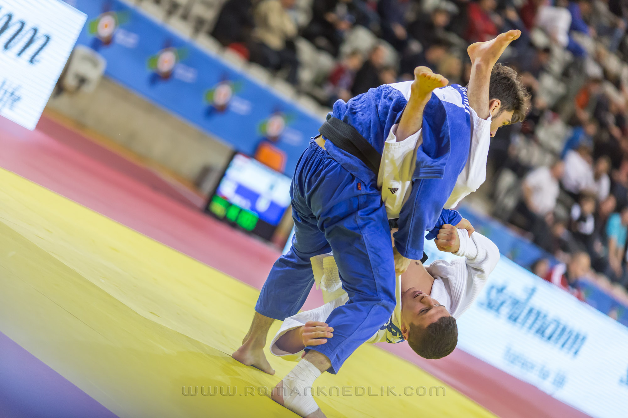 European_Judo_open_2016-3