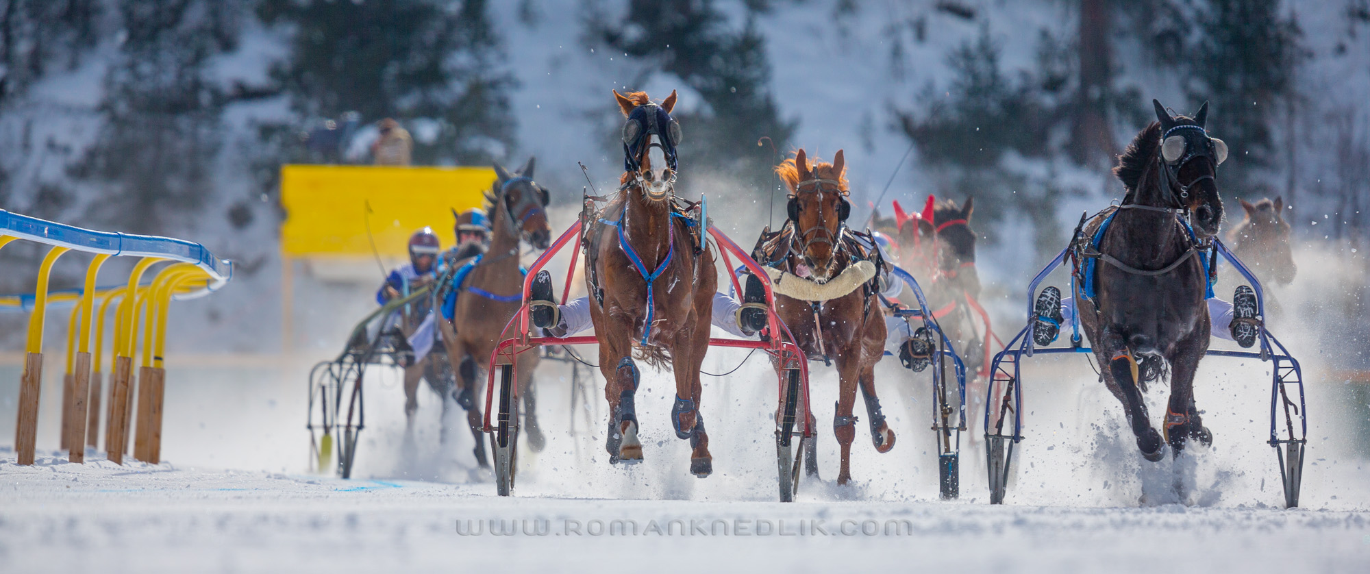 White_Turf_2017_Saint_Moritz-10